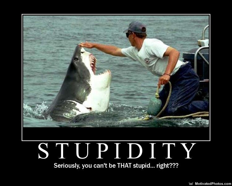 Stupidity Motivational Poster