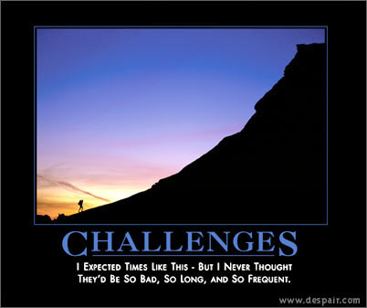 Free Inspirational Posters on Hilarious Motivational Posters About Challenges  Change  Cluelessness
