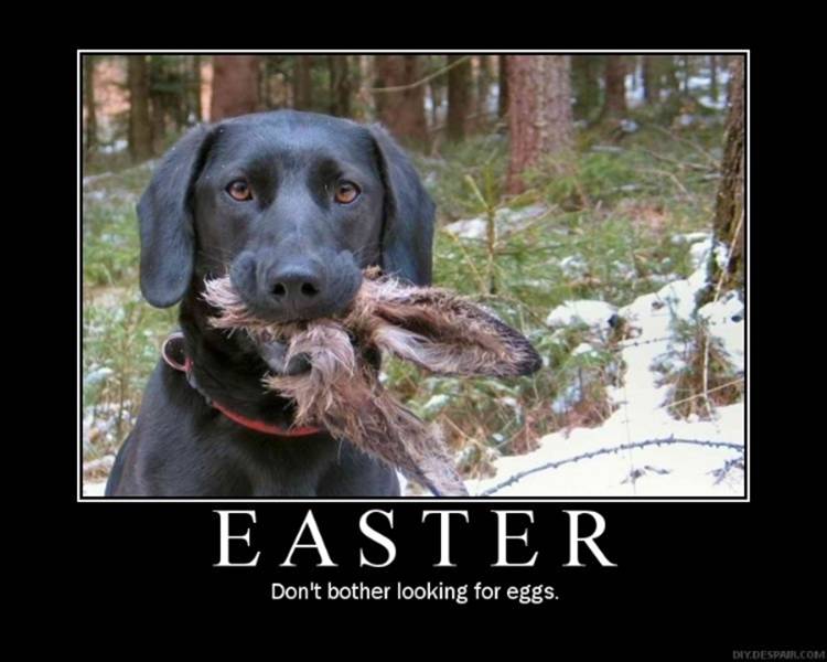  ... Motivational Posters about a Cool Dog, EASTER and Horniness » EASTER